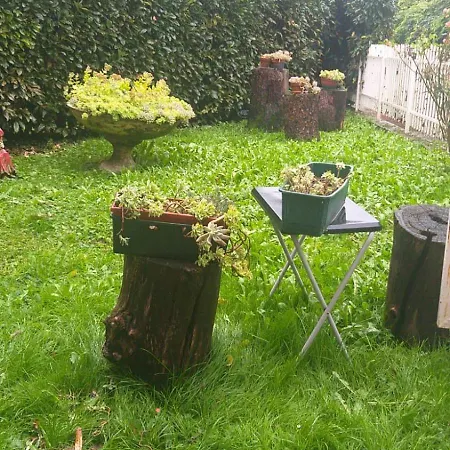 La Terra Di Mezzo