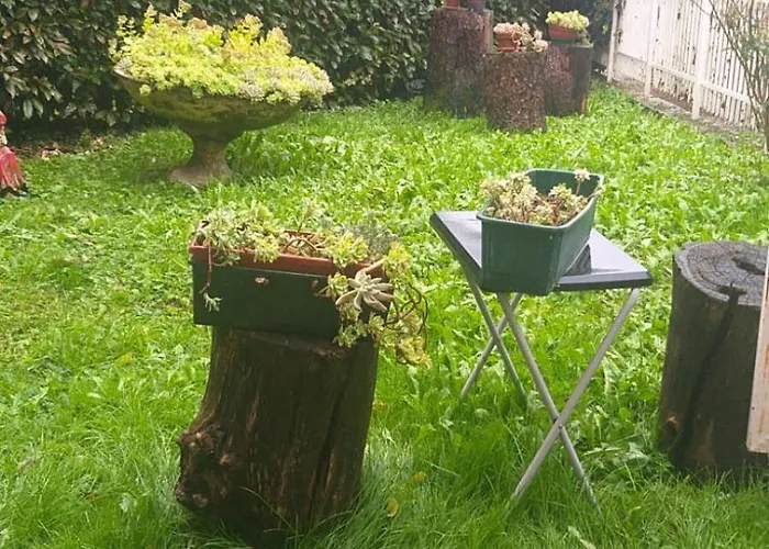 La Terra Di Mezzo